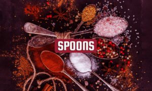 evolution of spoons